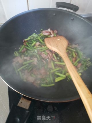 蒜苔炒培根肉的做法步骤：6