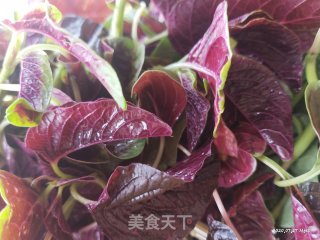 蒜炒红芥菜的做法步骤：3