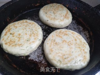 茴香饼的做法步骤：9