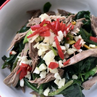 “凉菜”鸽肉拌人参苗的做法步骤：13