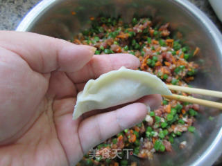 胡萝卜豇豆肉馅饺子的做法步骤：15