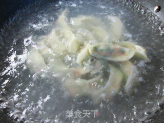 胡萝卜豇豆肉馅饺子的做法步骤：17