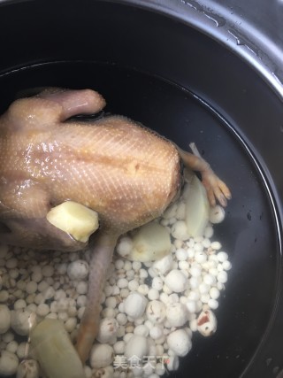 鲜鸡头米炖鸽子的做法步骤：8