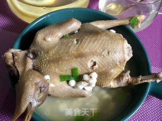 鲜鸡头米炖鸽子的做法步骤：14