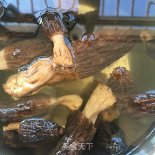 灵芝羊肚菌炖鸽子的做法步骤：1