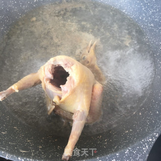 灵芝羊肚菌炖鸽子的做法步骤：4