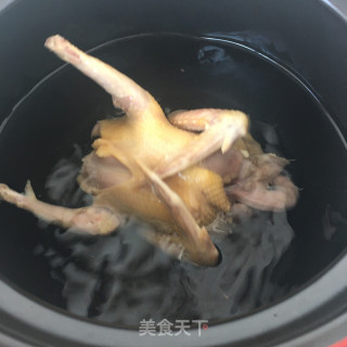 灵芝羊肚菌炖鸽子的做法步骤：5