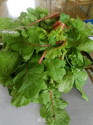 萝卜缨肉包的做法步骤：5
