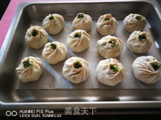 萝卜缨肉包的做法步骤：16