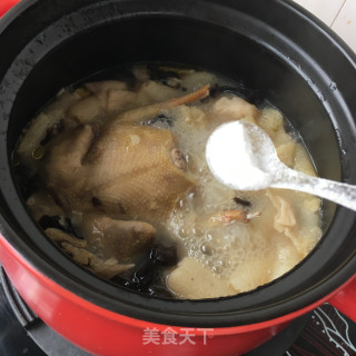 木耳竹荪鸽子汤的做法步骤：9