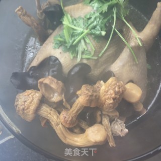 姬松茸炖鸽子的做法步骤：15