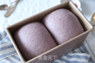 紫米吐司面包的做法步骤：9