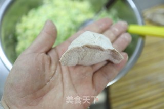 鸡蛋圆白菜褐麦饺子的做法步骤：12