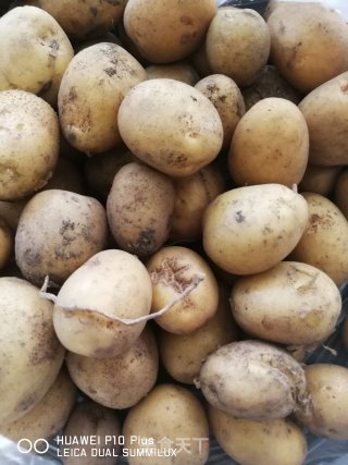 酱香干菜牛肉小土豆的做法步骤：3