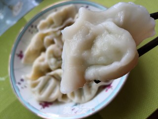 西葫芦虾仁水饺的做法步骤：22