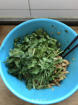 凉拌手撕鸡的做法步骤：10