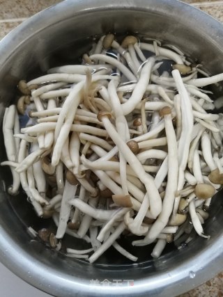 响油茶树菇的做法步骤：1