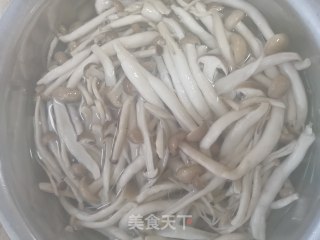 响油茶树菇的做法步骤：2
