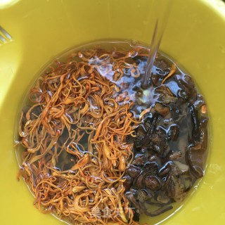榛蘑虫草花炖鸽子的做法步骤：5