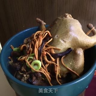 榛蘑虫草花炖鸽子的做法步骤：17
