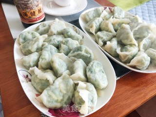 韭菜虾仁鸡蛋水饺的做法步骤：14