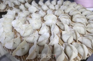 猪肉苦瓜饺子的做法步骤：15