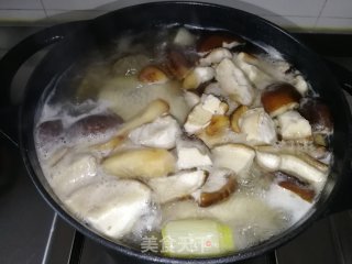 菌菇鸡汤的做法步骤：6