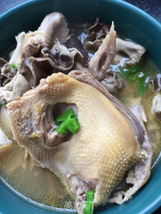 巴楚菌炖鸽子的做法步骤：20