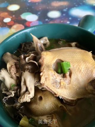 巴楚菌炖鸽子的做法步骤：21