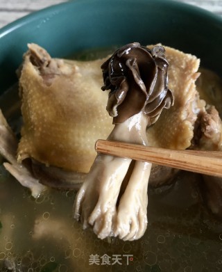 巴楚菌炖鸽子的做法步骤：22