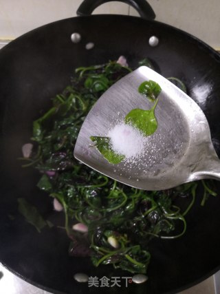 蒜香苋菜的做法步骤：4