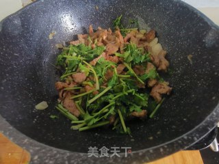 孜然羊肉的做法步骤：12