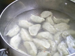 韭菜小白菜猪肉馅水饺的做法步骤：12