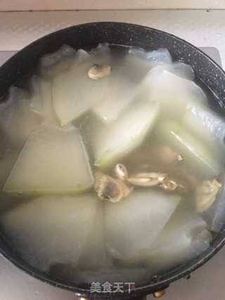 冬瓜花蛤肉汤的做法步骤：4