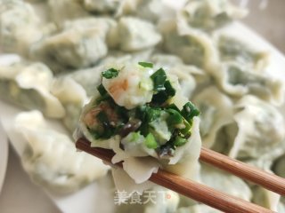 韭菜虾仁素三鲜水饺的做法步骤：14