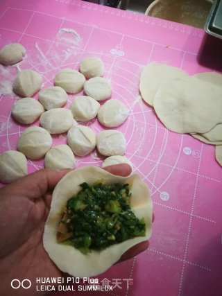 松茸小白菜蒸饺的做法步骤：7