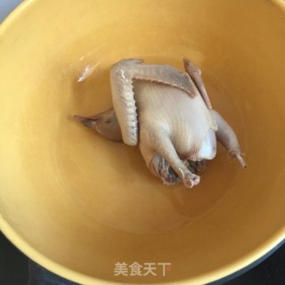 灵芝鸽子汤的做法步骤：4