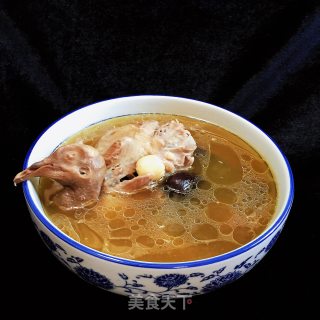 灵芝鸽子汤的做法步骤：10