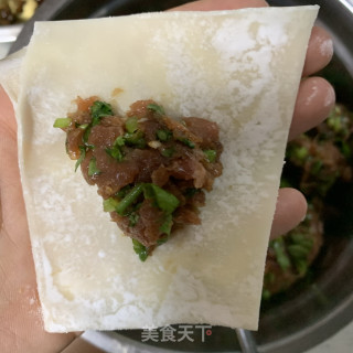 私家香菜馄饨的做法步骤：13