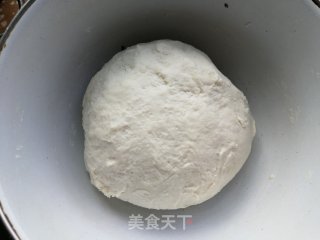 猪肉茄子馅饺子的做法步骤：6