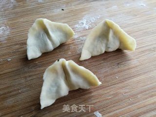猪肉茄子馅饺子的做法步骤：9