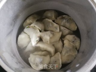 猪肉茄子馅饺子的做法步骤：10
