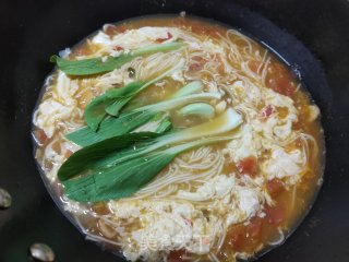 西红柿挂面汤的做法步骤：10