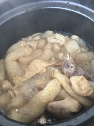 竹荪蜜薯炖鸽子的做法步骤：8