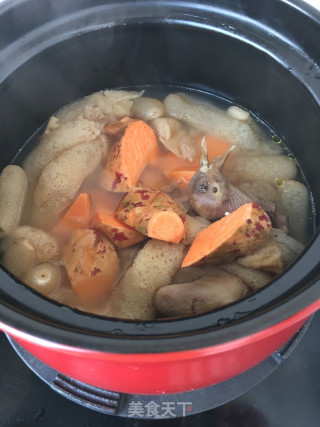 竹荪蜜薯炖鸽子的做法步骤：12