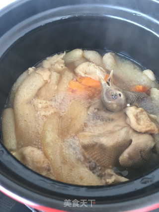竹荪蜜薯炖鸽子的做法步骤：13