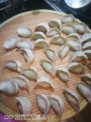 猪肉香菜水饺的做法步骤：17