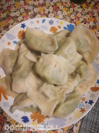 猪肉香菜水饺的做法步骤：19