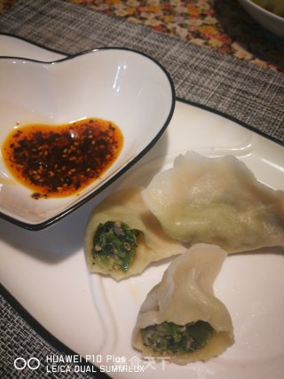 猪肉香菜水饺的做法步骤：20