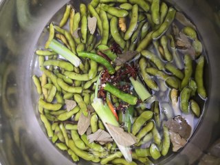 盐水毛豆的做法步骤：5